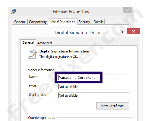 Screenshot of the Panasonic Corporation certificate